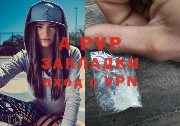 СК Володарск
