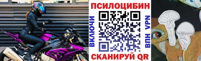 kraken как зайти  Чусовой  Псилоцибиновые грибы Psilocybine cubensis 